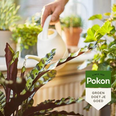 Pokon Kamerplantenvoeding Bio 1L