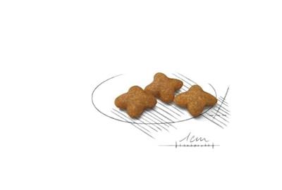 Royal Canin Sterilised xs hondenvoer 1.5kg - thumbnail