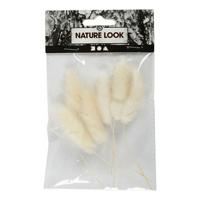 Creativ Company Hazenstaart gras, l: 3-7 cm, 6 stuk/ 1 doos - thumbnail