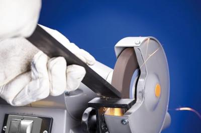 PFERD TOOLS 39010127 Schuurblokschijf Diameter 250 mm Boordiameter 51 mm 1 stuk(s)