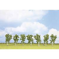 NOCH 25096 Set bomen Berk 100 tot 100 mm Groen 7 stuk(s) - thumbnail