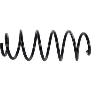 Sachs Schroefveer 993771