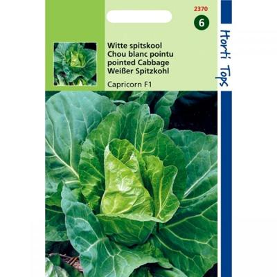 Zaden Wittekool Caraflex F1 Hortitops - Hortitops