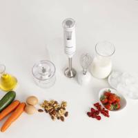 Multifunctionele Staafmixer met Accessoires Taurus 750 W - thumbnail