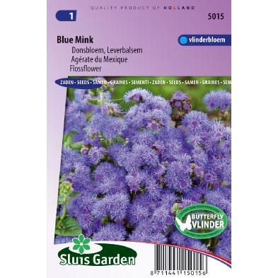 Ageratum Houstonianum zaden Blue Mink Ageratum Houstonianum zaden Blue Mink