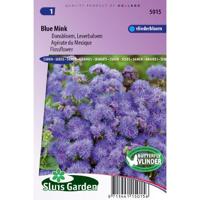 Ageratum Houstonianum zaden Blue Mink - thumbnail