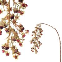 Berry plant rasberry hanging spray - thumbnail