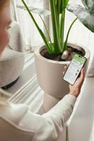 Elho Smart pebble plantverzorging bruin - thumbnail