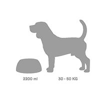 Voerbak voor honden United Pets Pappy 2,2 L Orange Polypropyleen - thumbnail