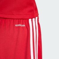 adidas Squadra 25 Voetbalbroekje Kids Rood Wit - thumbnail
