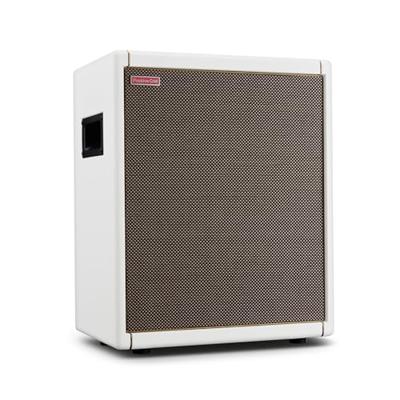 Positive Grid Spark Cab Pearl