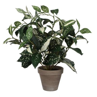 Cordyline h35 d25 cm groen in pot Stan d11,5 cm grey Mica Decorations Edelman - E-Retail - Mica decorations