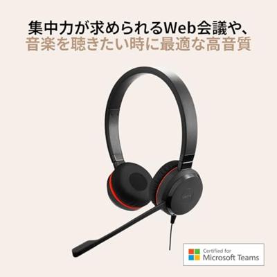 Jabra Evolve 20 On Ear headset Kabel Stereo Zwart Noise Cancelling, Ruisonderdrukking (microfoon) Headset, Mono Telefoon Jabra Evolve 20 On Ear headset Kabel Stereo Zwart Noise Cancelling, Ruisonderdrukking (microfoon) Headset, Mono Telefoon