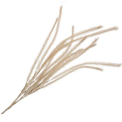 Daan Kromhout Kunsttak zijde xl bruin 150 cm | 12 stuks