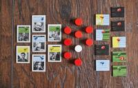 Champions of Midgard - thumbnail