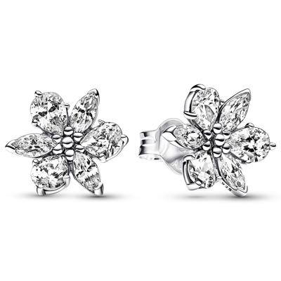 Pandora 292633C01 Oorknoppen Sparkling Herbarium Cluster zilver-zirconia wit