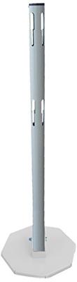 VISO BSP100B Afsluitpaal (Ø x h) 50 mm x 100 cm