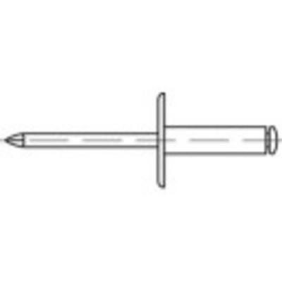 TOOLCRAFT 160154 Open popnagel (Ø x l) 5 mm x 10 mm Aluminium Staal 250 stuk(s)
