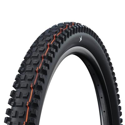 Schwalbe Buitenband 29" albert gravity pro