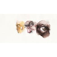 Faber Castell FC-160307 WK25Aquarel Marker FC AlbrechtDürer 5 Stuks Portrait - thumbnail