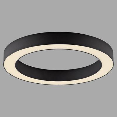 Paul Neuhaus Strakke led plafondlampPure Lines Round Ø 35cm - graphite - 6310-13