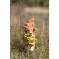 Trixie aquatoy touw trekspeeltje ringen polyester geel / groen - thumbnail