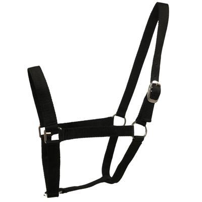 Budget Rider Basic II halster zwart maat:pony