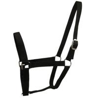 Budget Rider Basic II halster zwart maat:pony - thumbnail