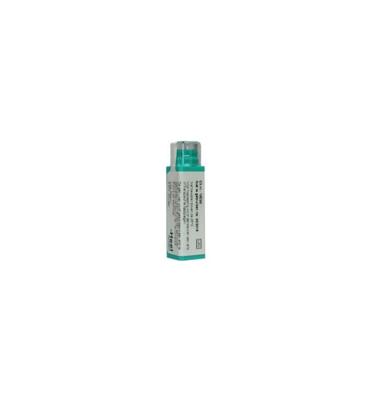 Homeoden Heel Cimicifuga racemosa LM30 20 Milliliter Homeoden Heel Cimicifuga racemosa LM30 20 Milliliter