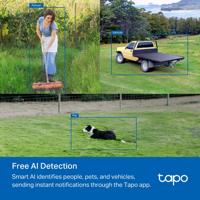 TP-Link Tapo C501-GW Dome - thumbnail