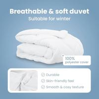 VidaXL Winter dekbed wit 240 x 222 x 5 cm polyester - thumbnail