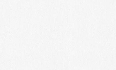 AS Creation MeisterVliesbehang 7 - Wit - 951014