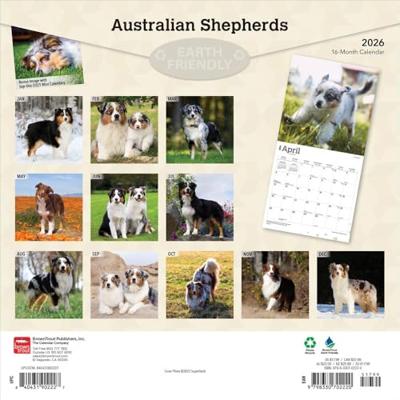 Australian Shepherd Kalender 2026