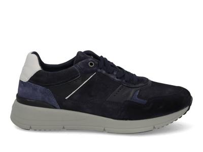 Greve Walker 3290.01 3254 sirena donkerblauw maat 44