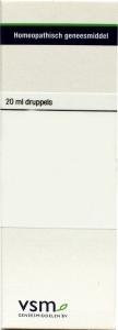 VSM Aesculus hippocastanum D4 (20 ml) VSM Aesculus hippocastanum D4 (20 ml)