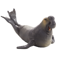 Mojo sealife zeeolifant - 387208