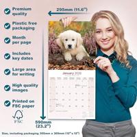 Golden Retriever Kalender Puppies 2026 - thumbnail