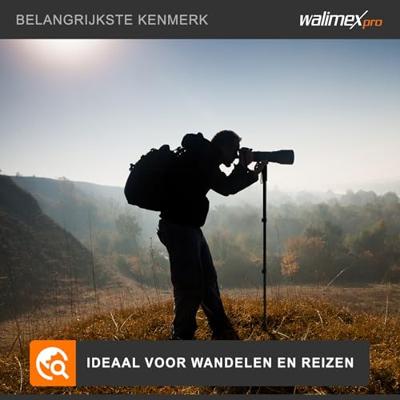 Walimex Pro WT-1003 Basic Monopod (171 cm), Zwart, Grijs