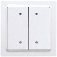 Eltako B4T55E-wg Toets Draadloos 4-kanaals Opbouw (op muur) Bereik max. (in het vrije veld) 30 m - thumbnail