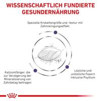 Royal Canin dental kattenvoer 3kg zak - thumbnail