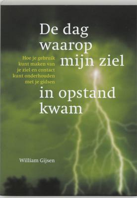De dag waarop mijn ziel in opstand kwam (Paperback)