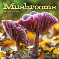 Paddenstoelen Kalender 2026 - thumbnail