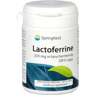 Springfield Lactoferrine DR 250mg 60 Vegetarische capsules