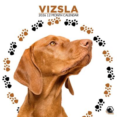 Vizsla Kalender 2026