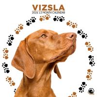 Vizsla Kalender 2026 - thumbnail