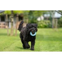 Jack and Vanilla Hondenspeelgoed - Rubber ring - Bacon - 14 cm - thumbnail