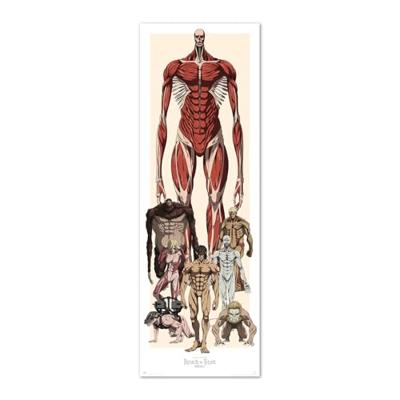 Poster Attack on Titan - 53x158cm