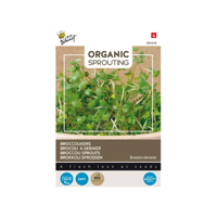 Zaden Bio Knip & Eet Broccolikers (BIO) Buzzy - Buzzy - thumbnail