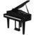 Roland GP-6 PE - thumbnail
