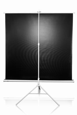 ELITE SCREENS tripod screen Tripod white 203 x 203 cm, 1:1 format 113 inches, T113NWS1